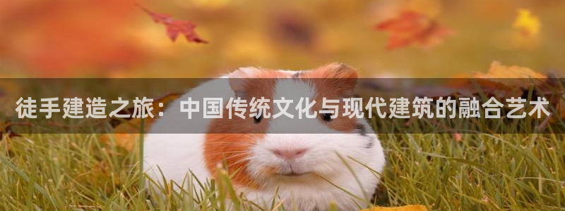 征途国际资讯官网入口：徒手建造之旅：中国传统文化与现代建筑的融合艺术