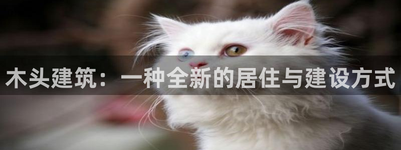 征途国际垫付金额：木头建筑：一种全新的居住与建设方式