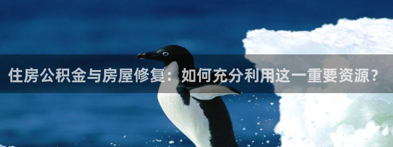 征途国际资讯官网入口：住房公积金与房屋修复：如何充分利用这一重要资源？