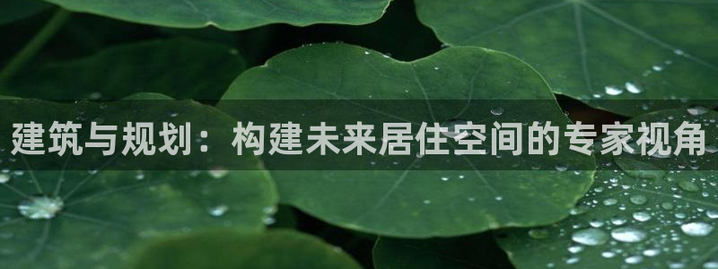 征途国际简介图片：建筑与规划：构建未来居住空间的专家视角