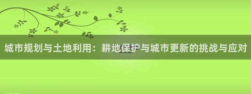 征途国际游戏上分地址：城市规划与土地利用：耕地保护与城市更新的挑战与应对