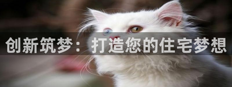 征途国际网：创新筑梦：打造您的住宅梦想