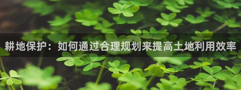 征途国际客服：耕地保护：如何通过合理规划来提高土地利用效率