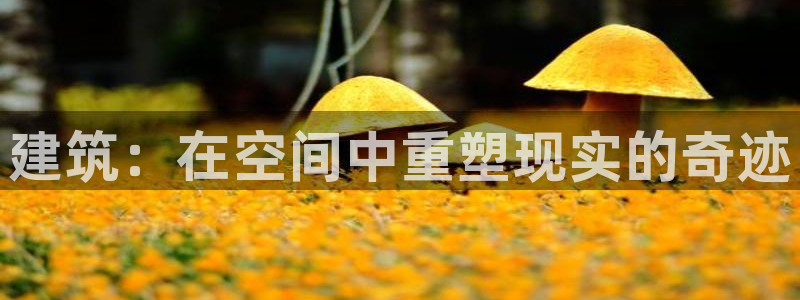 征途国际赛：建筑：在空间中重塑现实的奇迹