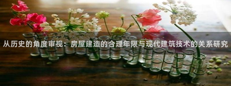 征途国际系统：从历史的角度审视：房屋建造的合理年限与现代建筑技术的关系研究