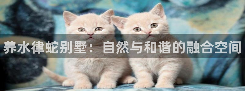 征途国际中国：养水律蛇别墅：自然与和谐的融合空间