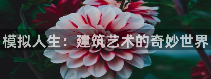 征途国际游戏软件：模拟人生：建筑艺术的奇妙世界