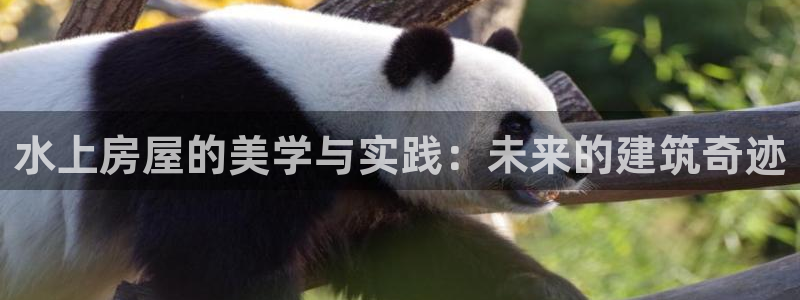 征途国际游戏大厅下载：水上房屋的美学与实践：未来的建筑奇迹