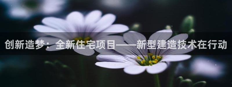 征途国际系统：创新造梦：全新住宅项目——新型建造技术在行动
