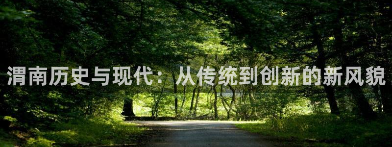 怎么下载征途国际大厅：渭南历史与现代：从传统到创新的新风貌