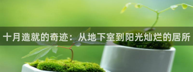 征途国际登录：十月造就的奇迹：从地下室到阳光灿烂的居所